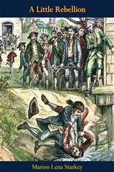 Book cover of A Little Rebellion by Unknown