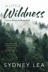 Book cover of A Little Wildness by Sydney Lea