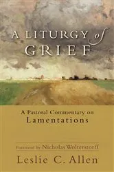 Book cover of A Liturgy of Grief by Leslie C. Allen