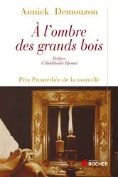Book cover of A l'ombre des grands bois by Abdelkader Djemaï