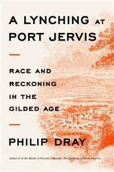 Book cover of A Lynching at Port Jervis by Philip Dray