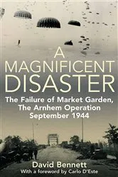 Book cover of A Magnificent Disaster by David Bennett
