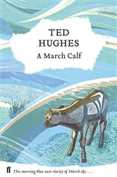 Book cover of A March Calf by Ted Hughes