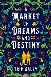 Book cover of A Market of Dreams and Destiny by Trip Galey