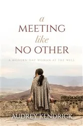 Book cover of A Meeting Like No Other by Audrey Kendrick