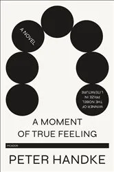 Book cover of A Moment of True Feeling by Peter Handke