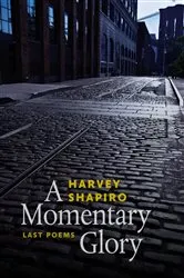 Book cover of A Momentary Glory by Harvey Shapiro