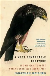 Book cover of A Most Remarkable Creature by Jonathan Meiburg