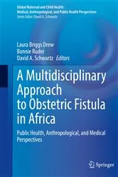 Book cover of A Multidisciplinary Approach to Obstetric Fistula in Africa by Laura Briggs Drew