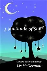 Book cover of A Multitude of Stars by Lis McDermott