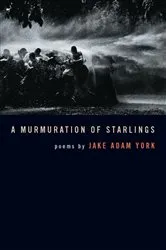 Book cover of A Murmuration of Starlings by Jake Adam York