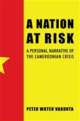 Book cover of A Nation at Risk by Peter Wuteh Vakunta