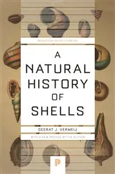 Book cover of A Natural History of Shells by Geerat Vermeij