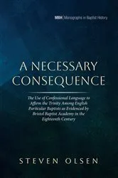 Book cover of A Necessary Consequence by Steven Olsen