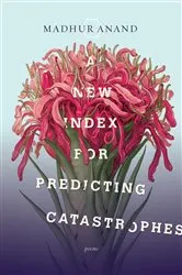 Book cover of A New Index for Predicting Catastrophes by Madhur Anand