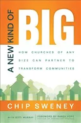 Book cover of A New Kind of Big by Chip Sweney