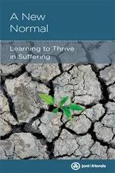 Book cover of A New Normal by Rebecca Olson