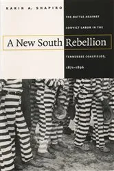 Book cover of A New South Rebellion by Unknown
