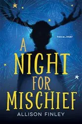 Book cover of A Night for Mischief by Allison Finley