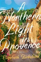 Book cover of A Northern Light in Provence by Elizabeth Birkelund
