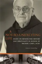 Book cover of A Not-So-Unexciting Life by Carmel Posa
