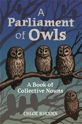 Book cover of A Parliament of Owls by Chloe Rhodes