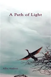 Book cover of A Path of Light by Alba Ambert