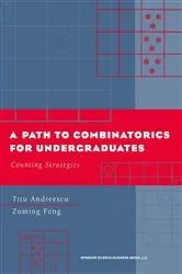 Book cover of A Path to Combinatorics for Undergraduates by Titu Andreescu