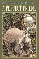 Book cover of A Perfect Friend by Reynolds Price
