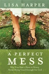 Book cover of A Perfect Mess by Steve Breen