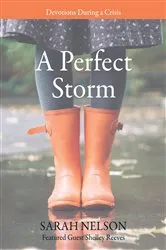 Book cover of A Perfect Storm (2nd ed.) by Sarah Nelson