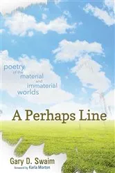 Book cover of A Perhaps Line by Gary D. Swaim