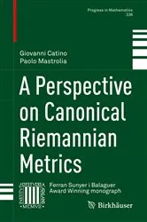 Book cover of A Perspective on Canonical Riemannian Metrics by Giovanni Catino
