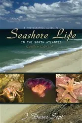 Book cover of A Photographic Guide to Seashore Life in the North Atlantic by J. Duane Sept