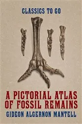 Book cover of A Pictorial Atlas of Fossil Remains by Gideon Algernon Mantell