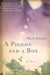 Book cover of A Pigeon and a Boy by Meir Shalev