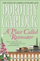 Book cover of A Place Called Rainwater by Dorothy Garlock