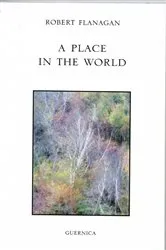 Book cover of A Place in the World by Unknown
