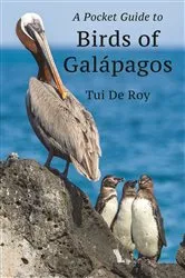 Book cover of A Pocket Guide to Birds of Galápagos by Tui De Roy