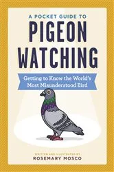Book cover of A Pocket Guide to Pigeon Watching by Rosemary Mosco