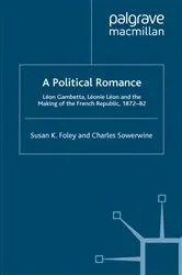 Book cover of A Political Romance by S. Foley