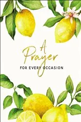 Book cover of A Prayer for Every Occasion by Carrie Marrs