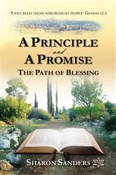 Book cover of A Principle and a Promise by Sharon Sanders
