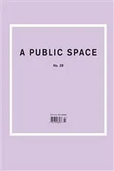 Book cover of A Public Space No. 28 by Brigid Hughes