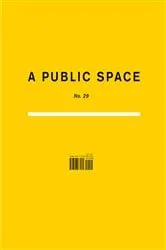 Book cover of A Public Space No. 29 by Brigid Hughes