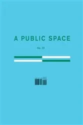 Book cover of A Public Space No. 30 by Brigid Hughes
