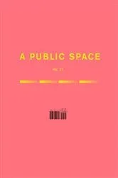 Book cover of A Public Space No. 31 by Hughes Brigid