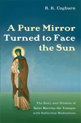 Book cover of A Pure Mirror Turned to Face the Sun by R. K. Cogburn