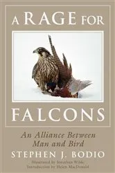 Book cover of A Rage for Falcons by Stephen Bodio