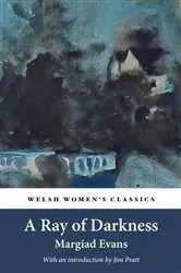 Book cover of A Ray of Darkness by Margiad Evans